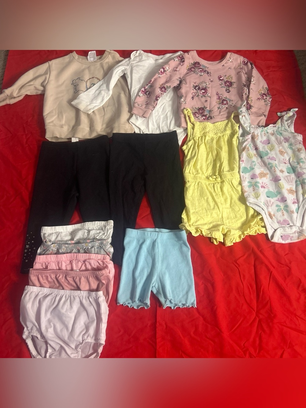 Baby Girl Clothing Bundle